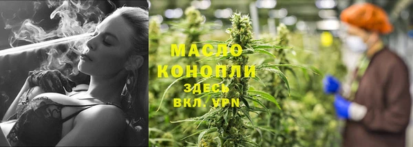 спиды Ладушкин