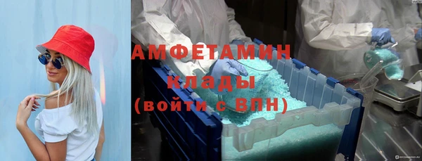 ГАЛЛЮЦИНОГЕННЫЕ ГРИБЫ Лагань