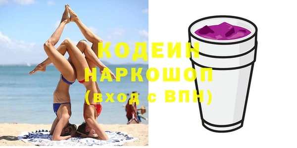 ГАЛЛЮЦИНОГЕННЫЕ ГРИБЫ Лагань