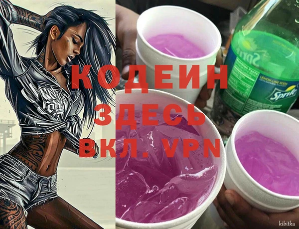 спиды Ладушкин