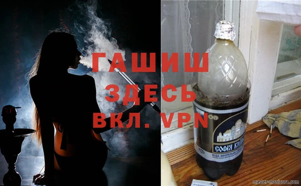 ГАЛЛЮЦИНОГЕННЫЕ ГРИБЫ Лагань